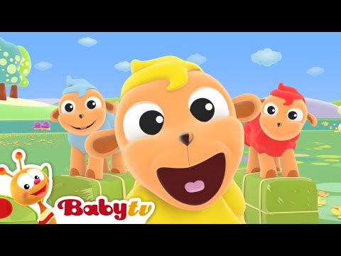 Czarna owco | Piosenki & rymy | BabyTV Polski