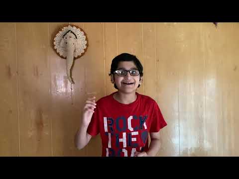 Rijul - The Candy Man (From Willy Wonka and the Chocolate Factory)