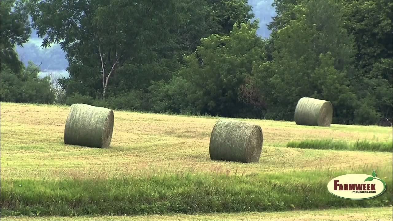 Seed Savers Exchange saves heirloom plant and fruit varieties.