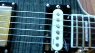preview picture of video 'Custom Dean Cadillac Guitar'