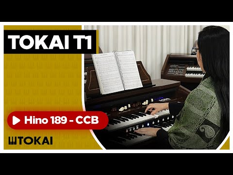 TOKAI T1 Hino 189 CCB