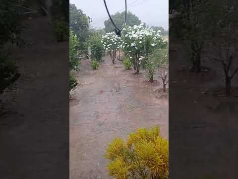 lagoa de prudente terra do TV Fonseca próximo a Ipupiara Bahia está chovendo muito