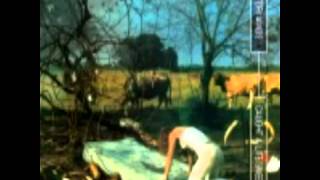 TORI AMOS - Toodles Mr. Jim [1996 mp3]