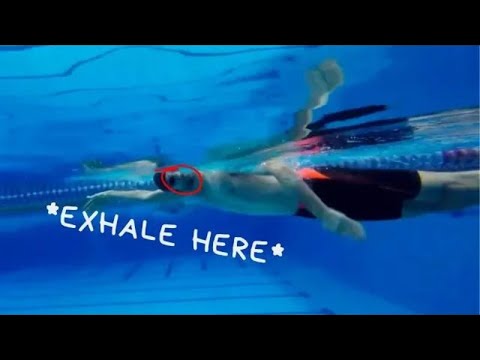 YouTube video about: Does fish get tired of swimming?