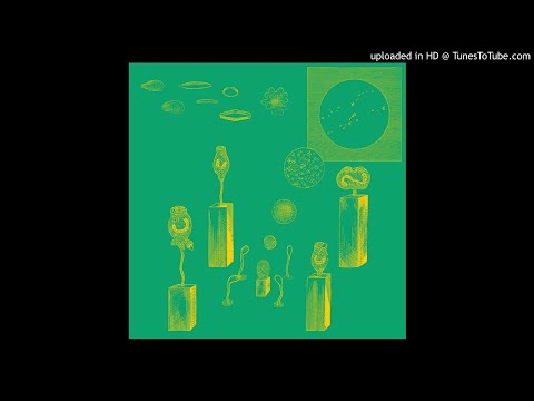 Bear Bones, Lay Low - The Well's Son