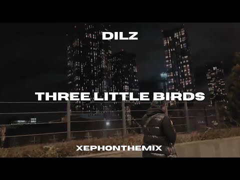 Dilz - Three little birds. (Official Music Video) shot on iPhone