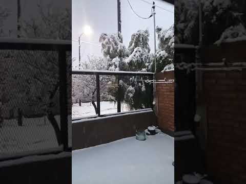 Nevada en Plaza Huincul, Neuquén🎥 @rociirios12  05/08/26 #nevadas #nieve
