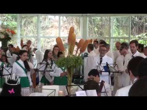 DOU VIVA A TODOS SANTOS - F.DE JAGUBE - PAD.ALFREDO 90