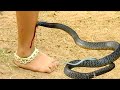 नागकन्या Naag Kanya नागो की रक्षक छोटी नागिन