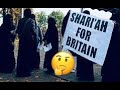 UK And The Islam Tarot Reading