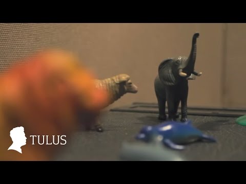 TULUS - Diorama (Studio Live)