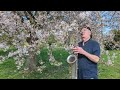 JAZZ DAY 2024 APRIL 30 MIKE STERN ORIGINAL RAYS JAZZ LEGEND EGILS STRAUME TENOR SAXOPHONE