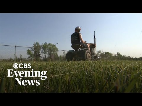 Detroit lawnmower gang still going strong after 15 years