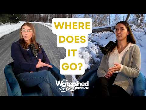 The Impact Of Road Salt On Our Water | Watershed Matters