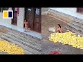 Little Chinese Girl Saves Crops From Rain