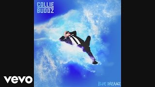 Collie Buddz - Go Hard (Audio)