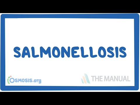 Salmonellosis - causes, symptoms, diagnosis, treatment, pathology