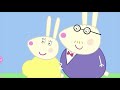 Mummy Rabbit Is Pregnant