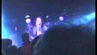 Tribe at Avalon Joyride (I Saw the Film) Jakpot