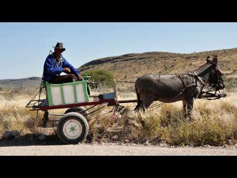 Miguel Campbell - Gold Rush feat Benjamin (Original Mix)