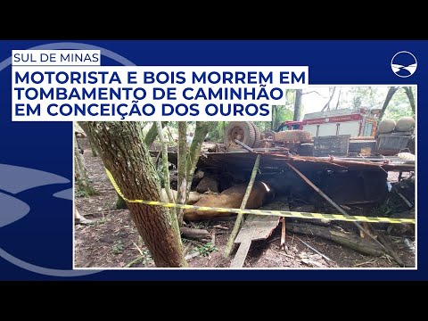 Motorista e bois morrem em tombamento de caminhão em Conceição dos Ouros