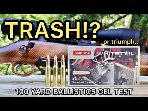 308 Winchester Norma Whitetail Ballistik-Gel-Munitionstest