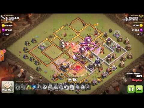 Enigmatic Fury Vs persian