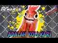 Dj Dewar's - Adalah Koli Kari Mix #northernanthem #adalahkolikari