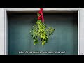 The Colours of Christmas (English subtitles)