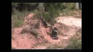 Paintball – Batalha de Gutusa – 2010