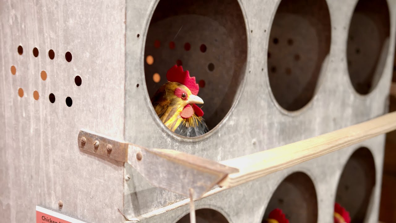 Visit Brookings Hankering for History?