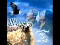 Wayra - Coyote dream