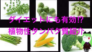 ダイエットにも有効⁉︎植物性タンパク質紹介