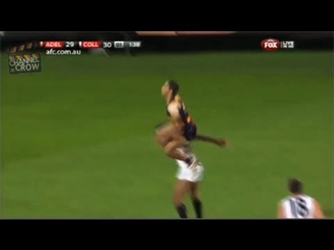 Jared Petrenko Flies