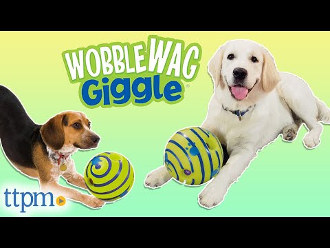 Pet Giggle Ball Sound Ball Funny Ball For Dogs And Cats 5.5 Inch
