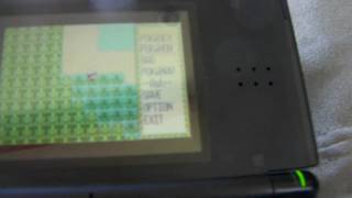 Pokemon Ruby: Route 110 without grass and how to cut down grass