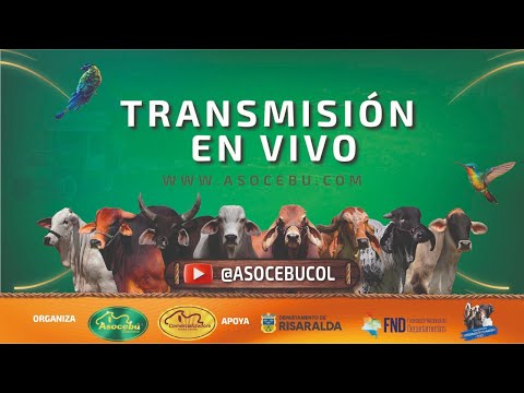 78 FERIA NACIONAL CEBÚ - PEREIRA RISARALDA DIA 2