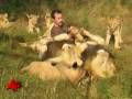 African Lions Accept Man As One of Their Own ...