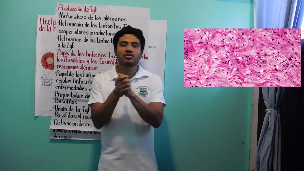 CAPITULO 20 *ALERGIA*