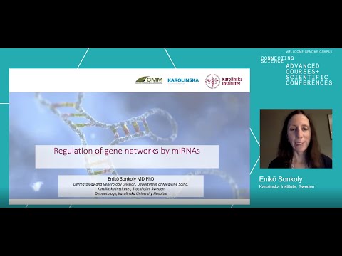 Regulation of gene networks by miRNAs, Enikö Sonkoly