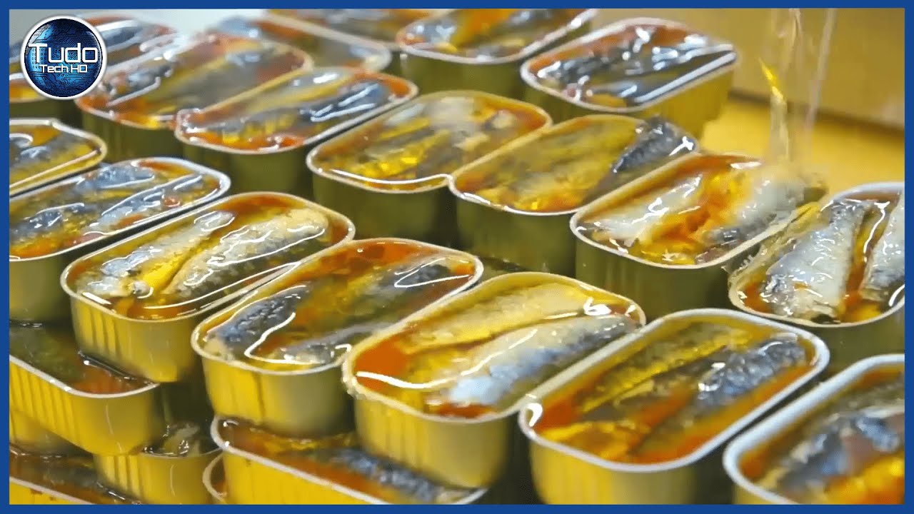 How Canned Sardines are Made – Industrial Process – Billions of Sardines Fished and Canned
