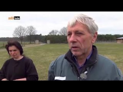 {HD} Die Büffelranch Zwölf Wasserbüffel schnuppern Seeluft (Doku) - 2017