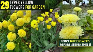 29 Types of Yellow Flowers for Garden | Plants with Yellow Flowers