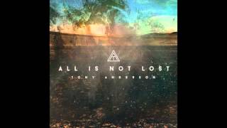 Tony Anderson - All Is Not Lost