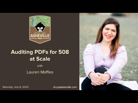 Auditing PDFs for 508 at Scale