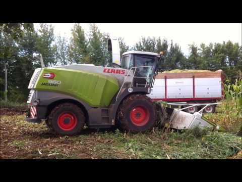 Insilato 2013 Jaguar 960 F.lli Albanese Casacorba di Vedelago Parte 2