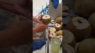 다낭 코코넛워터, 물 말고 이거 마시는 이유 (1000원?)