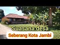 Suasana Desa Di Seberang Kota Jambi Alayasinalayasin8725