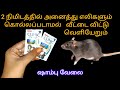 2 நிமிடத்தில் அனைத்து எலிகளும் கொல்ல�