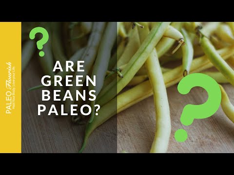 download lagu mp3 mp4 Are Snap Peas Paleo, download lagu Are Snap Peas Paleo gratis, unduh video klip Are Snap Peas Paleo